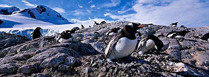 台积电6纳米工艺芯片造就功耗更低的新版PS5