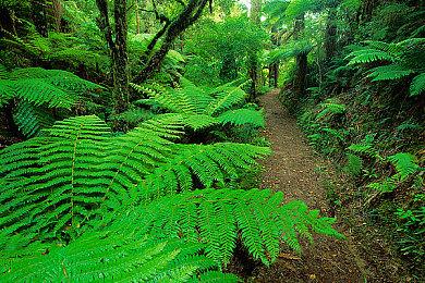 《循环勇士》销量突破100万大关 今日登陆NS平台